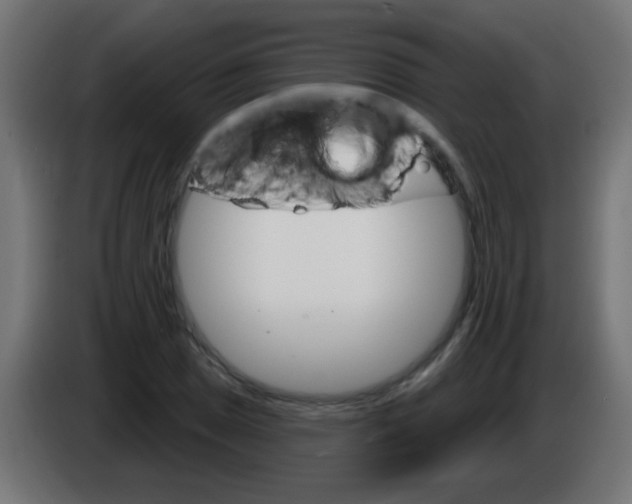 X0000083041025200703022044