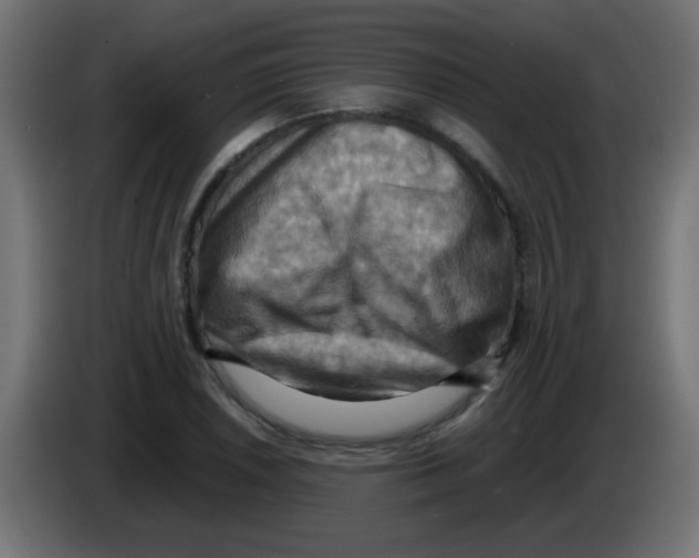 X0000083041026200703022044