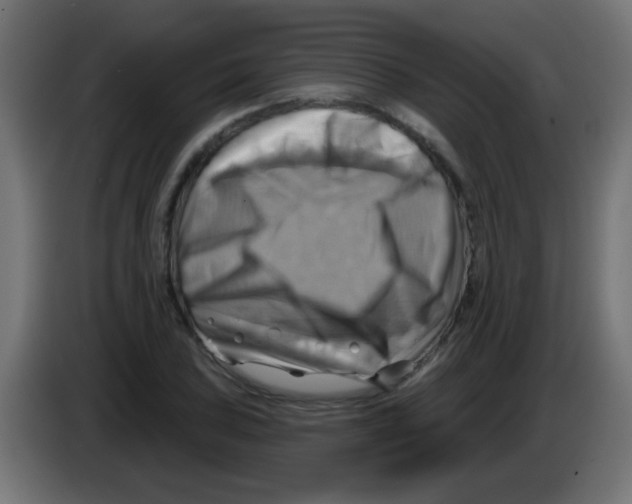 X0000083041027200703022044