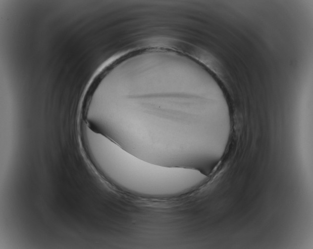 X0000083041028200703022044