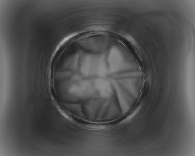X0000083041030200703022044