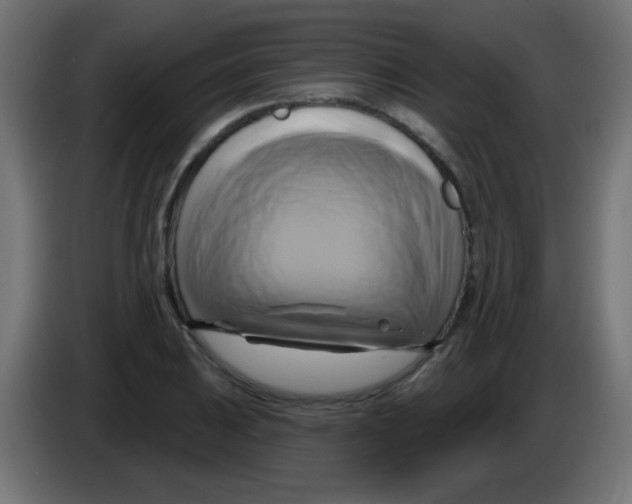 X0000083041031200703022044