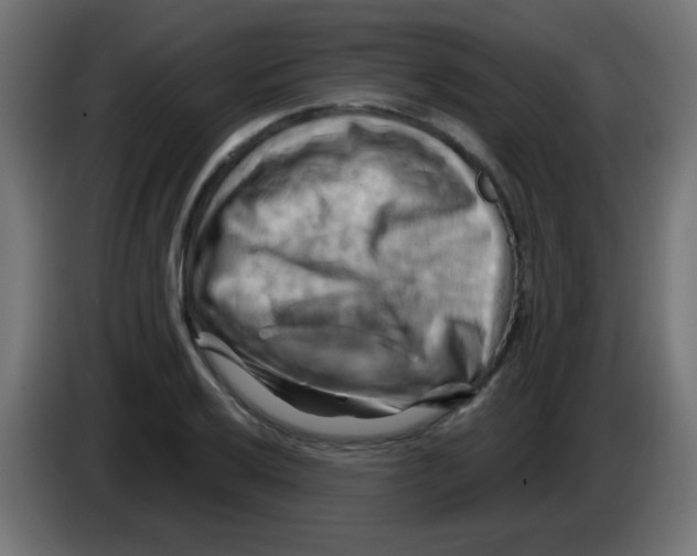X0000083041032200703022044