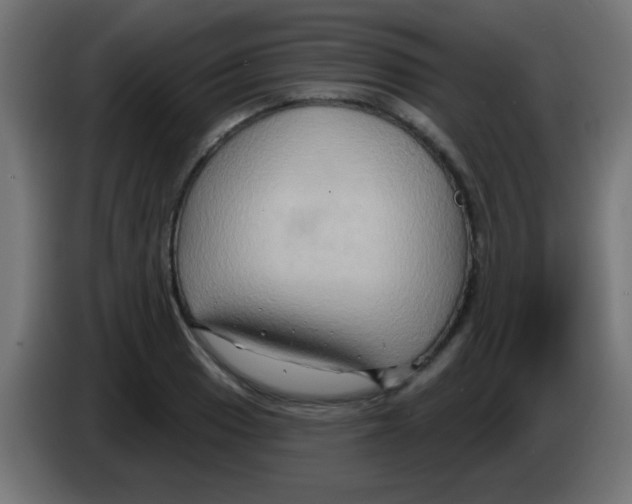 X0000083041033200703022044