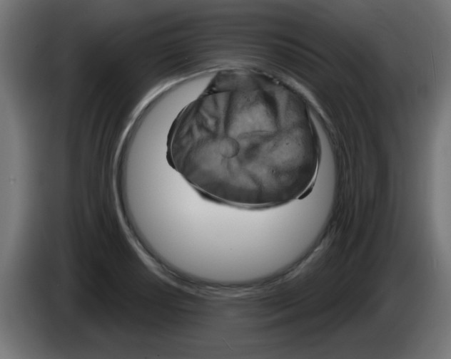 X0000083041034200703022044