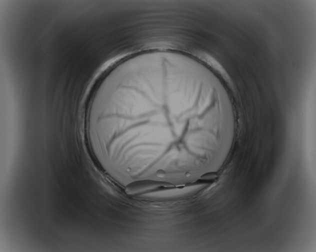 X0000083041035200703022044