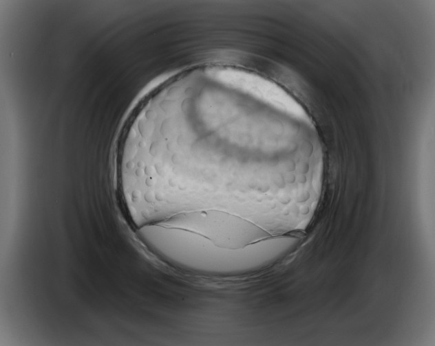 X0000083041036200703022044