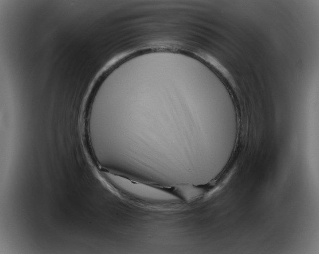 X0000083041037200703022044
