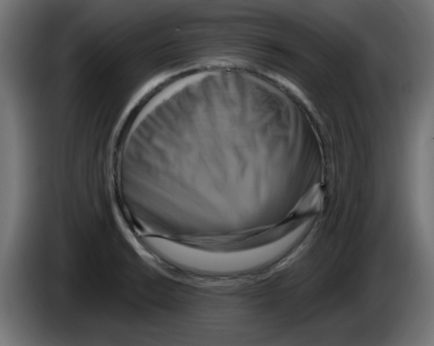 X0000083041038200703022044