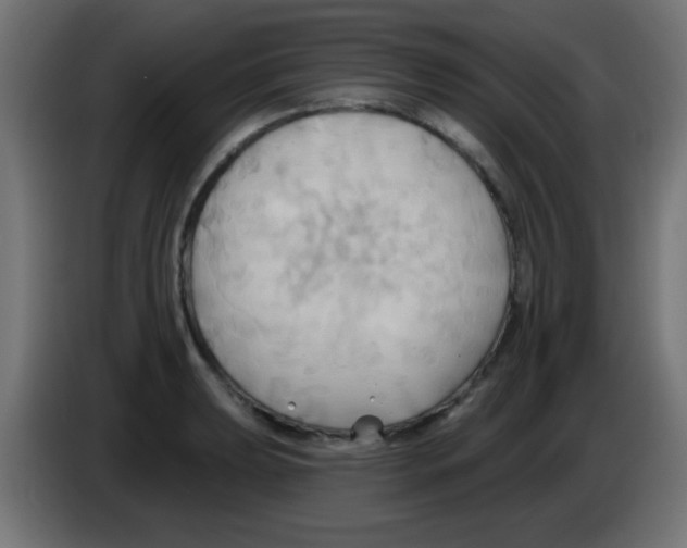 X0000083041039200703022044