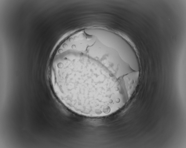 X0000083041040200703022044