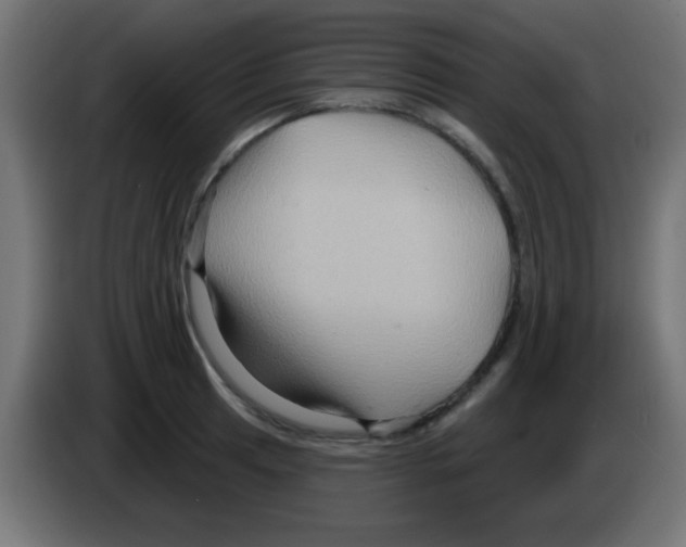 X0000083041041200703022044