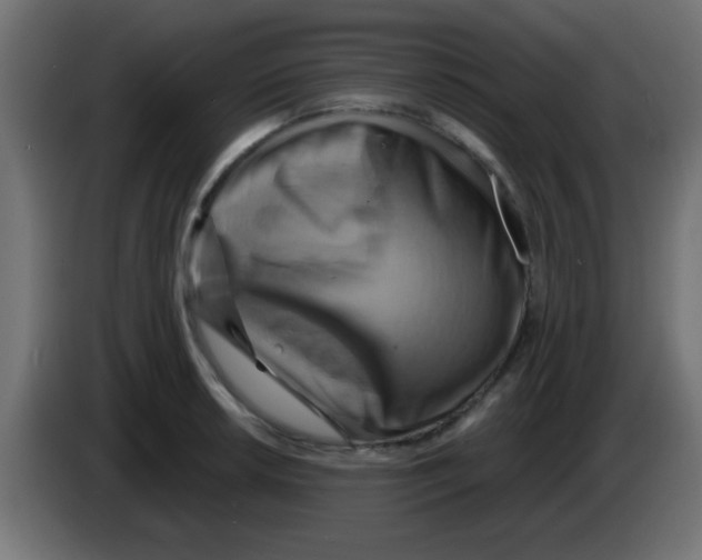 X0000083041042200703022044