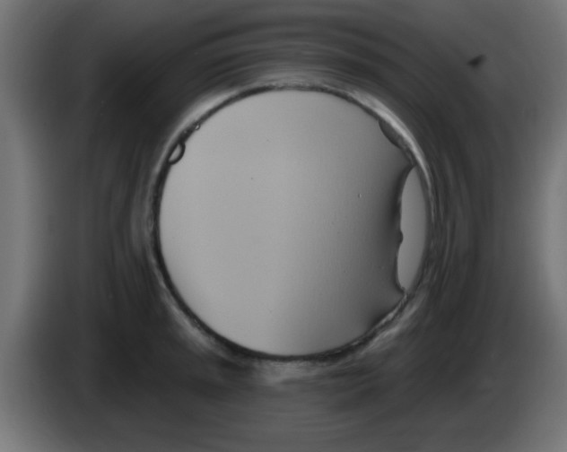 X0000083041045200703022044