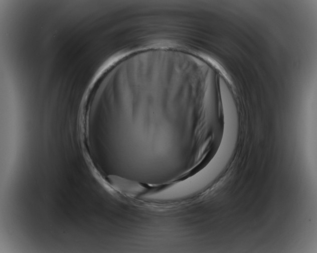 X0000083041046200703022044