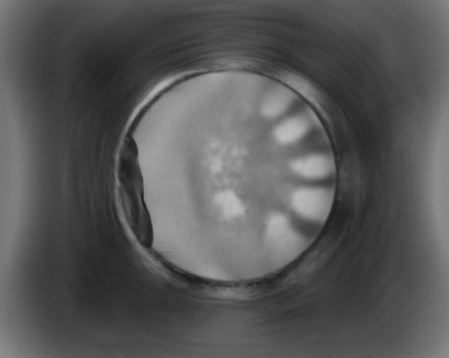 X0000083041047200703022044