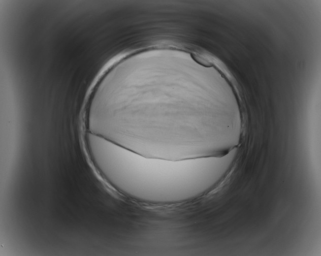 X0000083041048200703022044