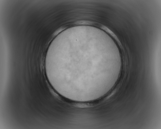 X0000083041049200703022044