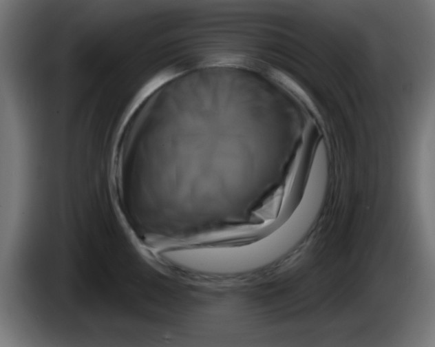 X0000083041050200703022044
