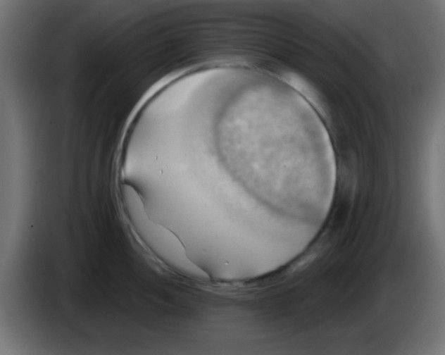 X0000083041052200703022044