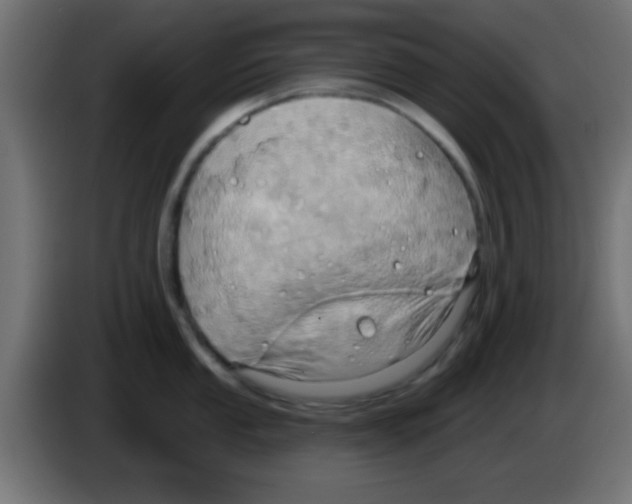 X0000083041053200703022044