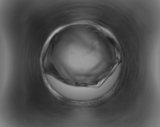 X0000083041054200703022044