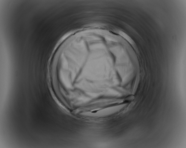 X0000083041055200703022044