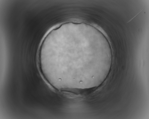 X0000083041056200703022044