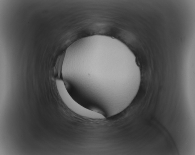 X0000083041058200703022044