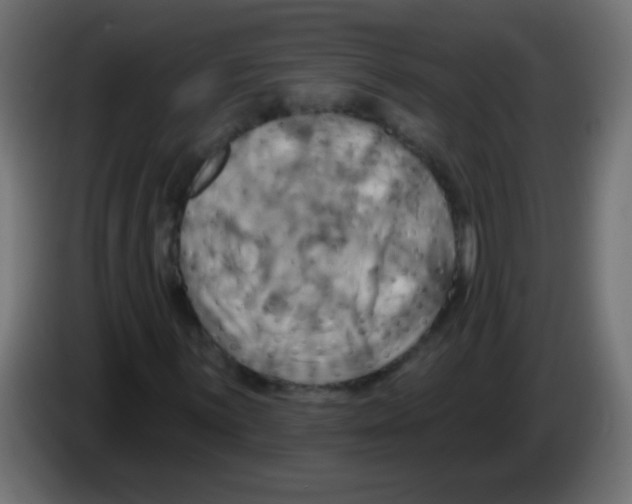 X0000083041059200703022044