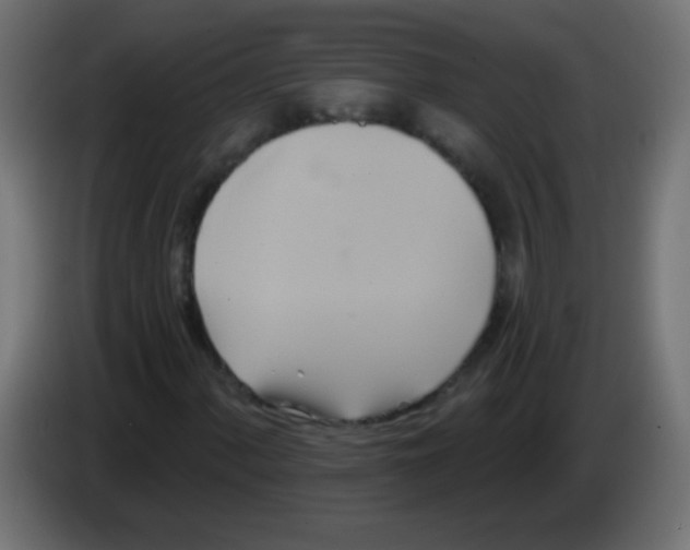 X0000083041060200703022044