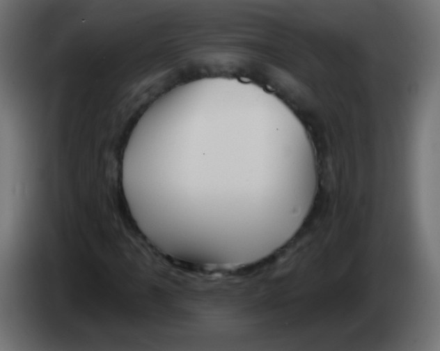 X0000083041061200703022044