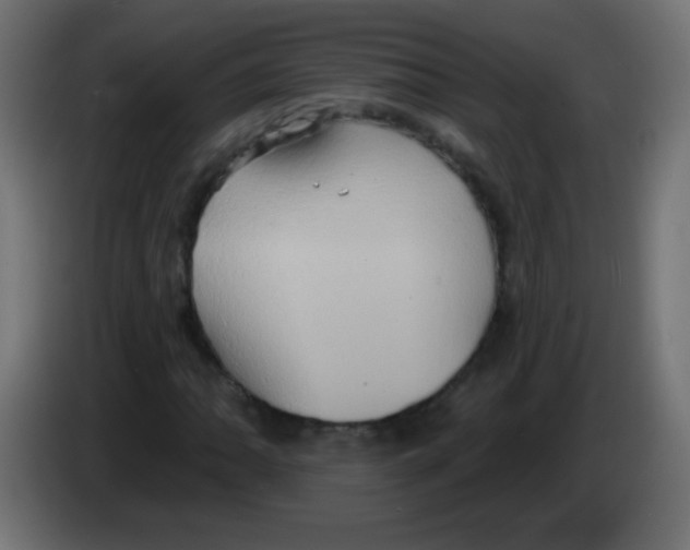 X0000083041062200703022044