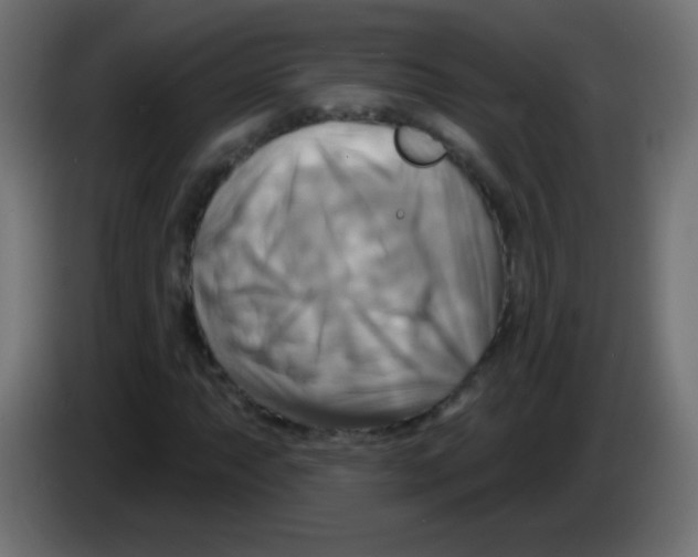 X0000083041063200703022044
