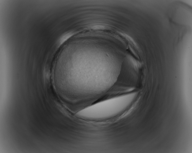 X0000083041065200703022044