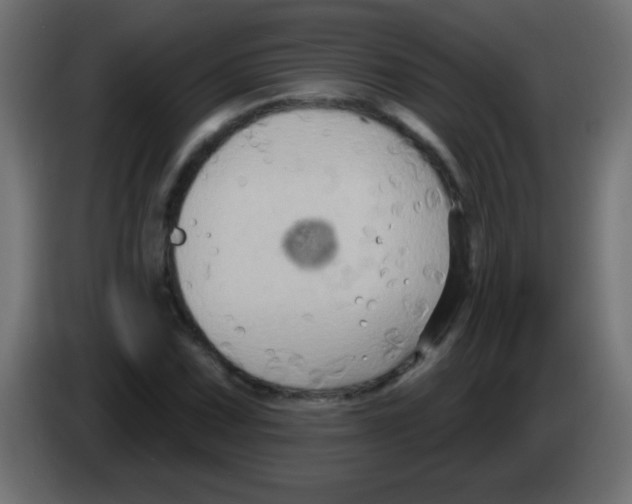 X0000083041067200703022043