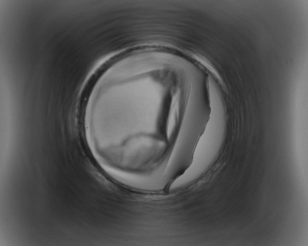 X0000083041068200703022043