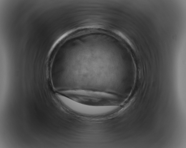 X0000083041069200703022043