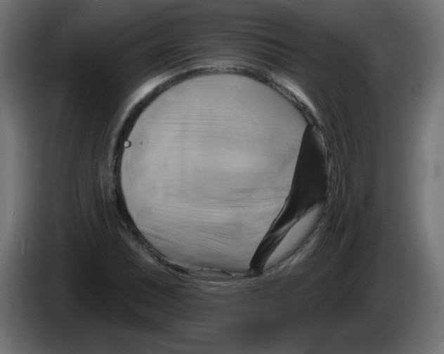 X0000083041071200703022043