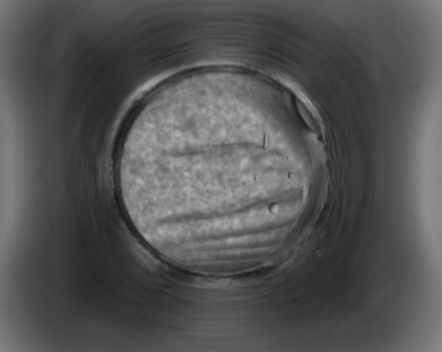 X0000083041072200703022043