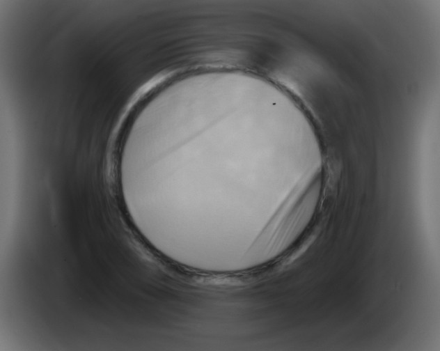 X0000083041074200703022043