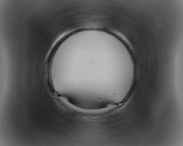 X0000083041075200703022043
