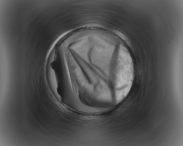 X0000083041076200703022043