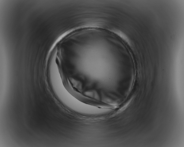 X0000083041077200703022043