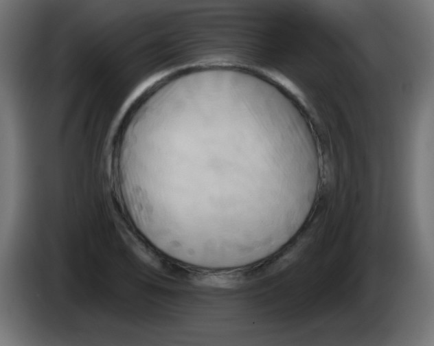 X0000083041078200703022043