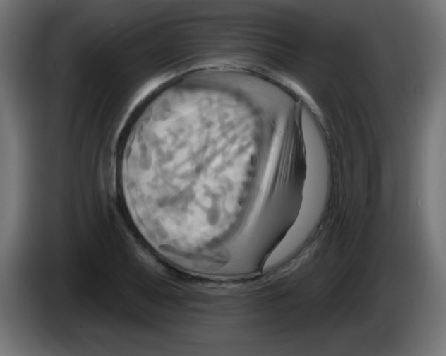 X0000083041079200703022043