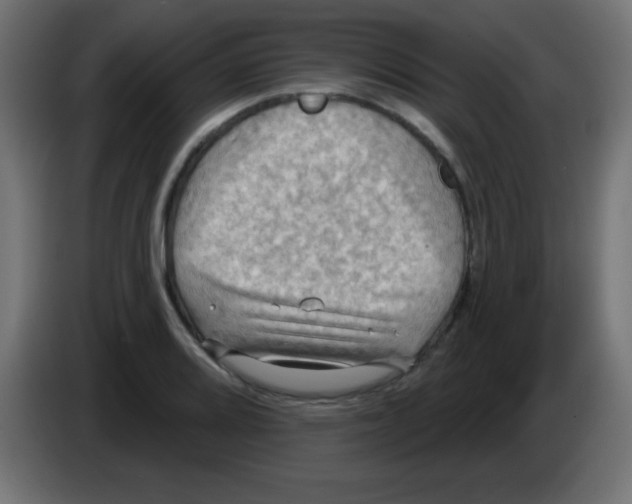 X0000083041080200703022043