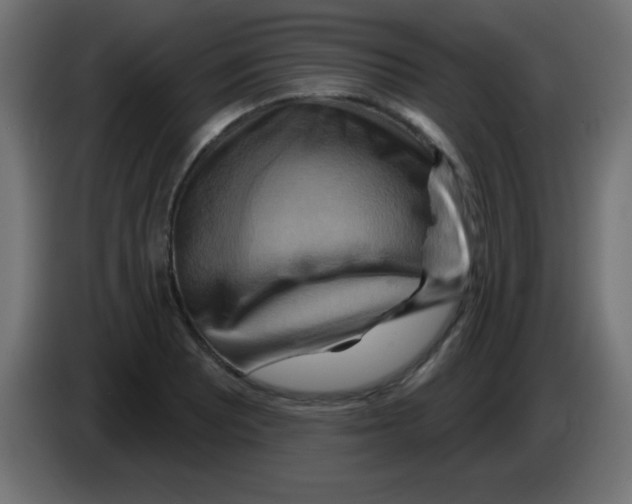 X0000083041081200703022043