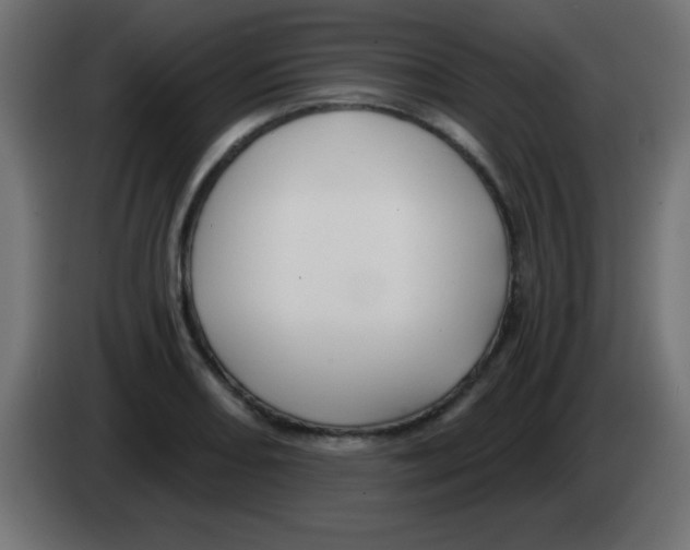 X0000083041082200703022043