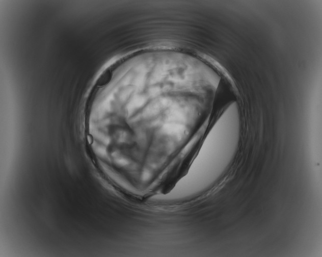 X0000083041083200703022043